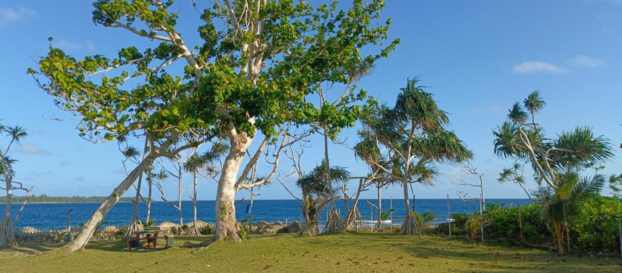 Bluepango Guest House Port Vila Exterior photo